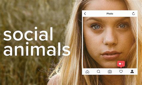 m4ufree social animals|Social Animals .